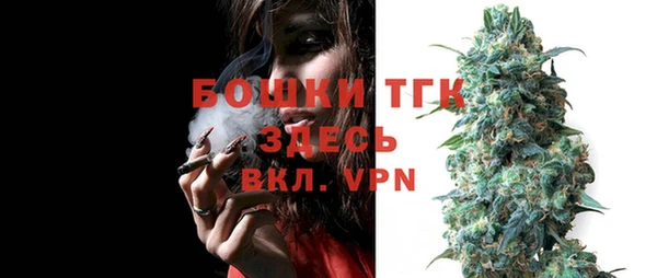 хмурый Туринск