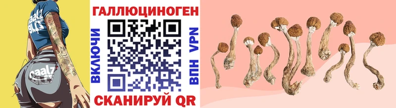 Галлюциногенные грибы MAGIC MUSHROOMS  omg   Шиханы  купить  